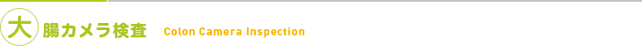 大腸カメラ検査