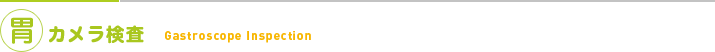 胃カメラ検査